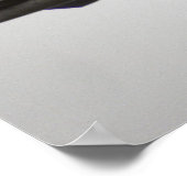 AirPlane Poster (Hoek)