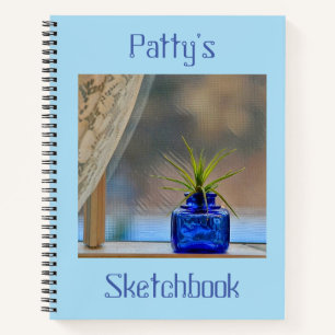 Airplant in Window Sketchbook Notitieboek