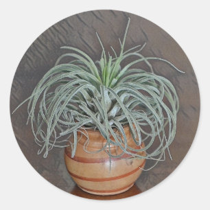 Airplant Oaxacana Ronde Sticker