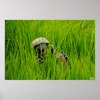 Airsofter in bladen van zaaggras poster