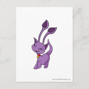 Aisha Purple Briefkaart