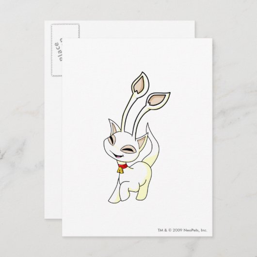 Aisha White Briefkaart (Voorkant / Achterkant)