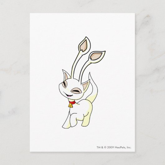 Aisha White Briefkaart (Voorkant)