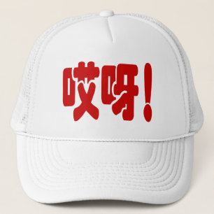 Aiya! 哎 呀! OMG! Chinese Hanzi Trucker Pet