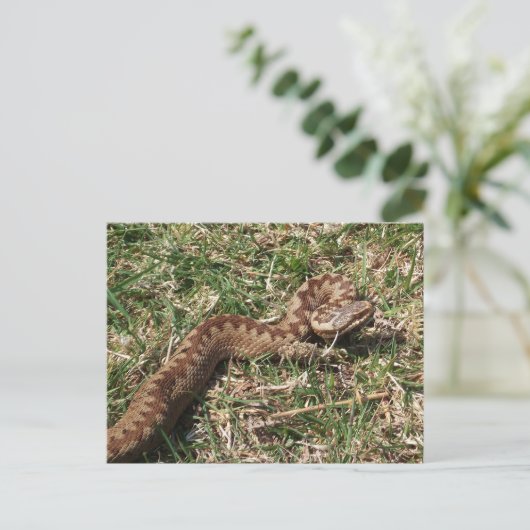 Ajouter carte postale (Debout devant)