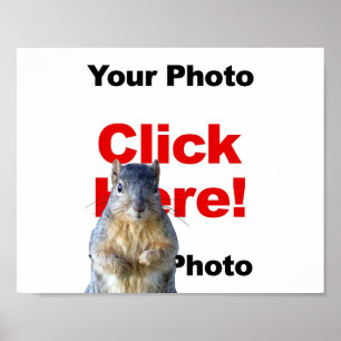 Ajouter un écureuil personnalisé Photo Poster