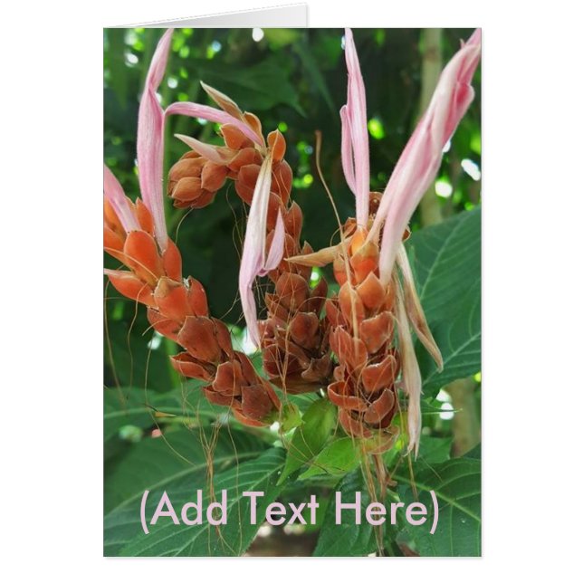 Ajouter un message personnel sur une carte florale (Devant)