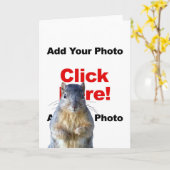 Ajouter Une Carte Photo Personnalisée D'Écureuil (Fleur jaune)