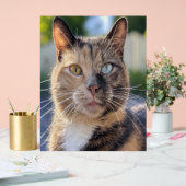 Ajouter une Personnaliser photo de chat (Mariage)