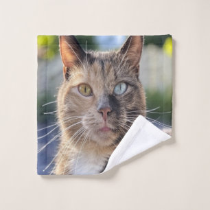 Ajouter une Personnaliser photo de chat