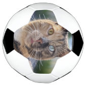 Ajouter une Personnaliser photo de chat (Tourné)