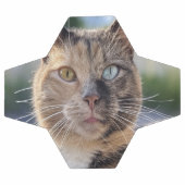 Ajouter une Personnaliser photo de chat (Plat)