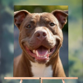 Ajouter une Personnaliser photo Pit Bull (Neutre)
