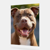 Ajouter une Personnaliser photo Pit Bull (Angle)