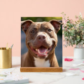 Ajouter une Personnaliser photo Pit Bull (Mariage)