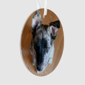 Ajouter une photo de marionnette personnalisée mig (devant)