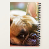 Ajouter VOS Photos Nom Carnet French Bulldog (Verso)