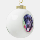 Ajouter votre ornement photo préféré pour animaux  (Gauche)