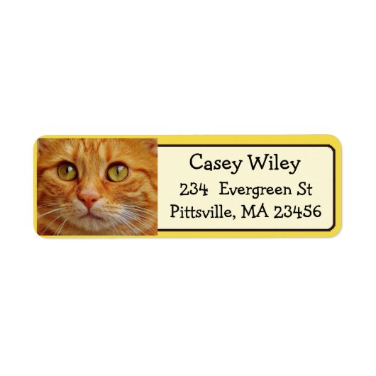 Ajouter votre photo de chat à ce Étiquette de adre (Devant)