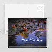Ajouter Votre Texte Eau Lily Belle Carte Postale (Devant / Derrière)