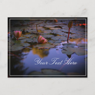 Ajouter Votre Texte Eau Lily Belle Carte Postale