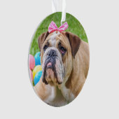 Ajoutez la photo de votre chien et le nom à ce mig (devant)