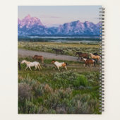 Ajoutez votre nom | Promenade des chevaux (Dos)