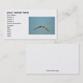 ajoutez-vous des cartes de visite d'information (Devant / Derrière)