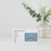 ajoutez-vous des cartes de visite d'information (Debout devant)