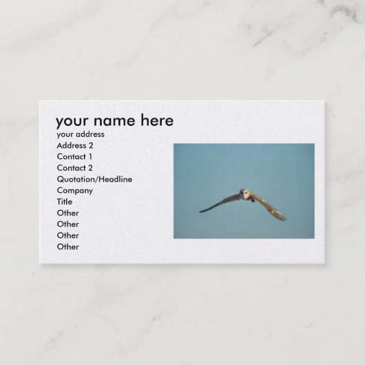 ajoutez-vous des cartes de visite d'information (Devant)