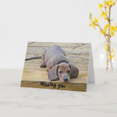 AK - Dachshund drôle Carte Vous Manquant (Fleur jaune)