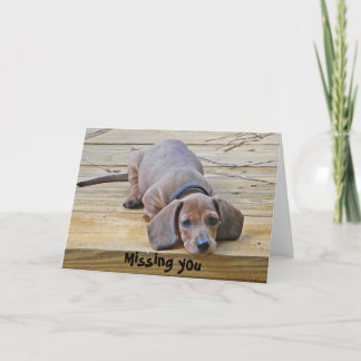 AK - Dachshund drôle Carte Vous Manquant