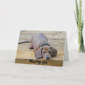 AK - Dachshund drôle Carte Vous Manquant (Devant)
