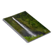 Akaka Falls, carnet d'Hawaii (Côté Droit)