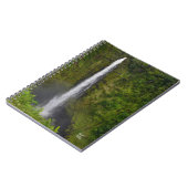 Akaka Falls, carnet d'Hawaii (Côté gauche)