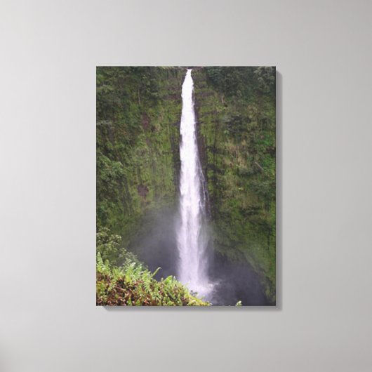 Akaka Herfsten Waterval in Hawaï Canvas Afdruk (Voorkant)