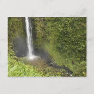 Akaka-waterval, Hamakua-kust, eiland Hawaii, Briefkaart