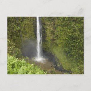 Akaka-waterval, Hamakua-kust, eiland Hawaii, Briefkaart