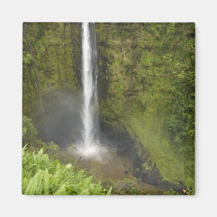 Akaka-waterval, Hamakua-kust, eiland van Hawaï, Magneet