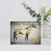 Akhal-teke Briefkaart (Staand voorkant)