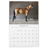 Akhal-Teke Horses Kalender (Feb 2027)