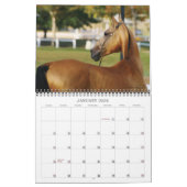 Akhal-Teke Horses Kalender (Jan 2026)