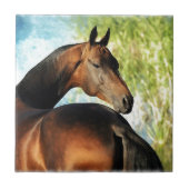 Akhal-teke stallion tegeltje (Voorkant)