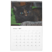 Akira la Tortie Bengale 2017 Calendrier moyen (Jan 2027)