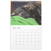 Akira la Tortie Bengale 2017 Calendrier moyen (Mar 2027)