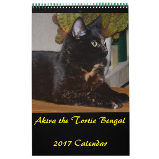 Akira la Tortie Bengale 2017 Calendrier moyen
