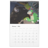 Akira la Tortie Bengale 2017 Calendrier moyen (Feb 2026)