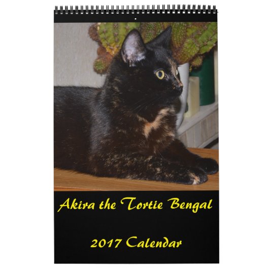Akira la Tortie Bengale 2017 Calendrier moyen (Protection)