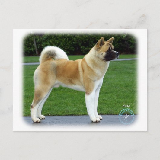 Akita 9T031D-052 Briefkaart (Voorkant)