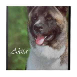 Akita Art Tegeltje